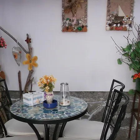 Casa de hóspedes Plavas